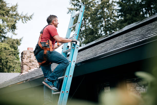 Best Roof Moss and Algae Removal  in Lompoc, CA
